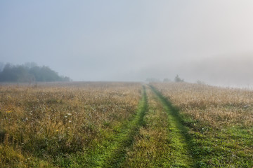 road in fog