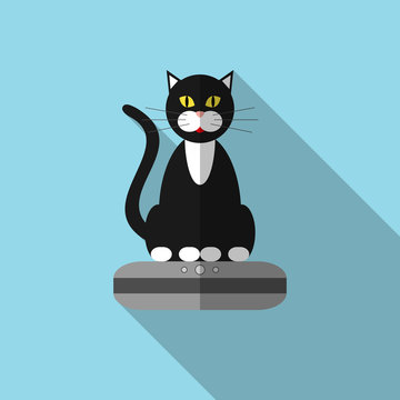 Icon of a cat on vacuum cleaner