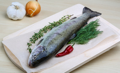 Raw trout