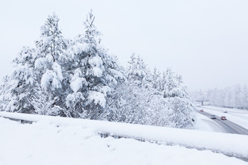 Snow landscape and road