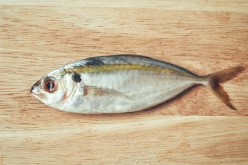 Fresh raw fish