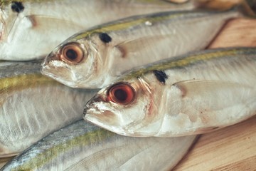Fresh raw fish