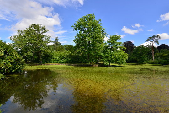 A lake at a country estate in Surrey, England