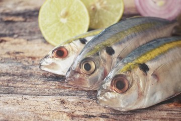 Fresh raw fish