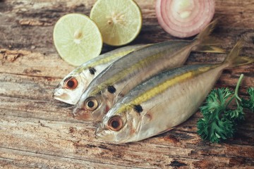 Fresh raw fish