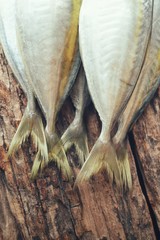 Fresh raw fish