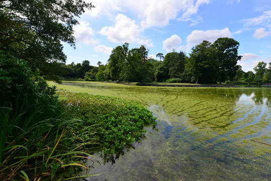 A lake at a country estate in Surrey, England