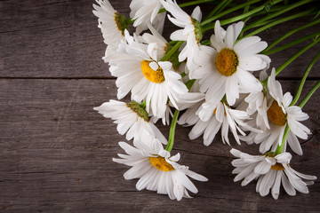 Leucanthemum vulgare on a wooden table