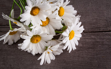 Obraz premium Leucanthemum vulgare on a wooden table