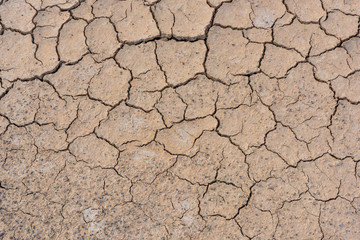 Crack soil on dry season