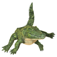 Crocodile