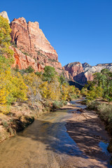 Virgin River Zion National Park in Fall