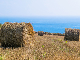 Straw hay bale on the field after harvest. Sark Island, Channel Islands