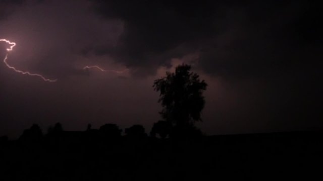 Heavy thunderstorm at night with a birch tree