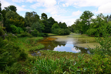  A Lake at a Surrey estate in the middle of summer in England.