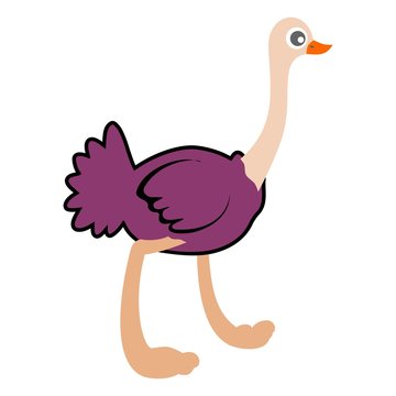 Vector Cartoon purple Ostrich Isolated On Blank Background