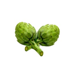 Fototapeta premium Artichoke on a white background