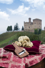 White truffles from Piedmont Italy