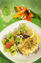 grilled salmon and cheese