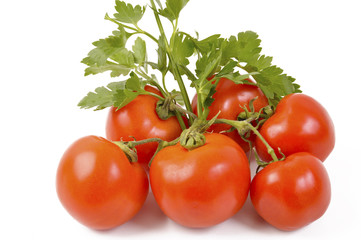 red tomatoes with basil and parsley