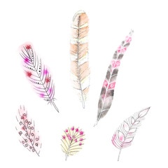 Set of six watercolors feathers