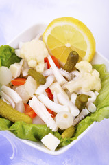 fresh squid salad