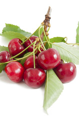 red cherries with leaves