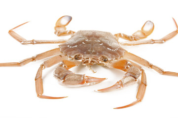 Crab with lemon