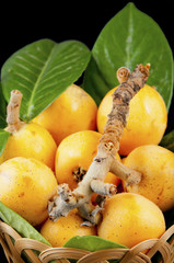 medlars