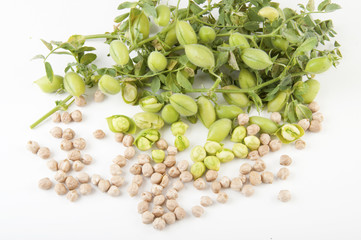 Burlap sack with chickpeas spilling out over a white background