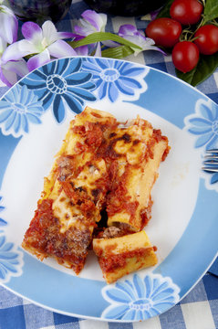 cannelloni with meat sauce