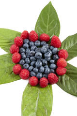 berries, blueberries, blackberries, raspberries