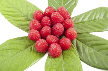 berries, blueberries, blackberries, raspberries