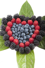 berries, blueberries, blackberries, raspberries
