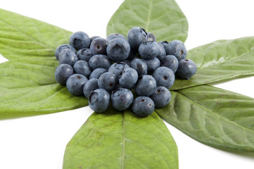 berries, blueberries, blackberries, raspberries