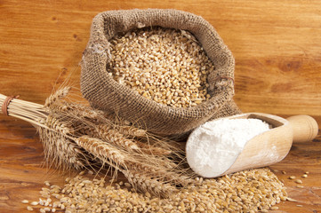 bunch of ears of wheat