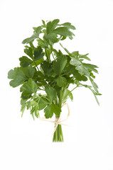 fresh green parsley