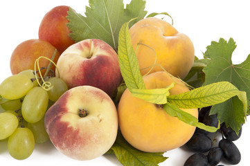 Fruit on a white background