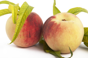 Fruit on a white background
