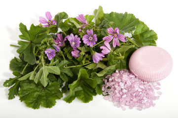 with wild mallow flowers