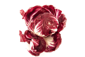 red radicchio cabbage on white background