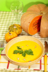 little pumpkin ii (isolated)