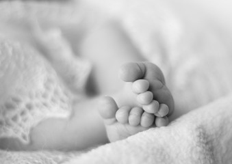 Tiny feet of a newborn baby. Shallow depth of field.