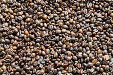Fresh coffee beans, selective focus