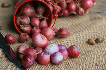 shallots