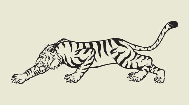 Tiger Line Art Stock Vector by ©koratmember 32749387