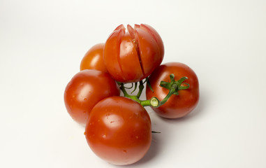 Tomatoes group isolated