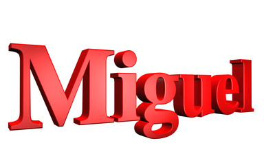 3D Miguel text on white background