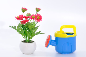 Watering pot with flower and pot, conception
