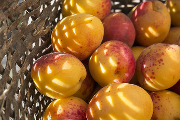 Apricots in basket